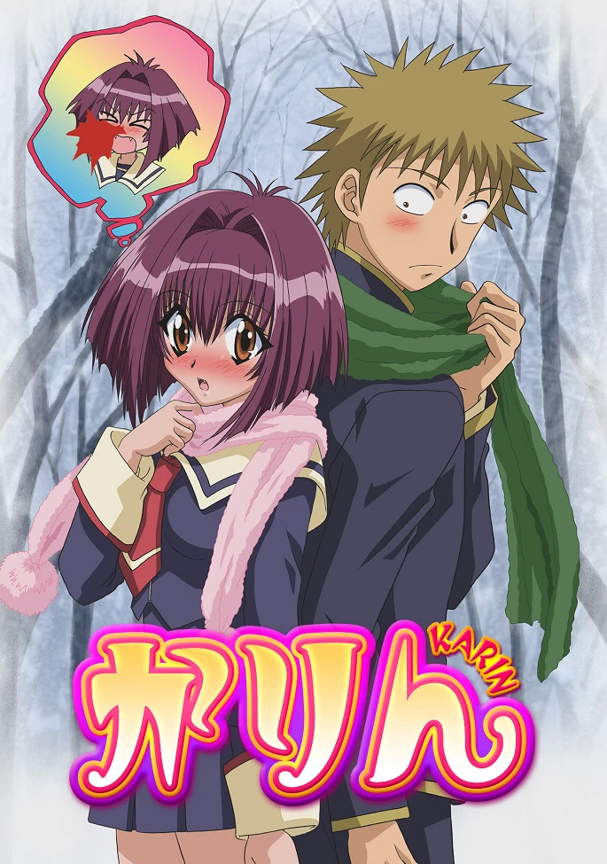 Карин постер