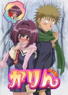 Постер Карин