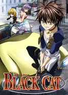 Постер Чёрный кот